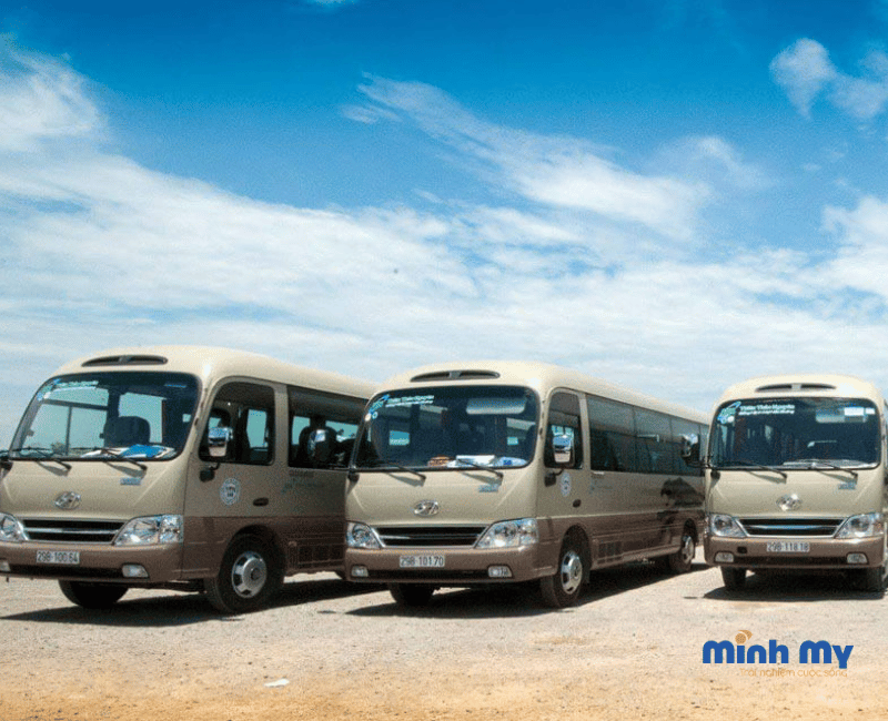 Dịch vụ thuê xe 29 chỗ Đà Lạt an toàn, GIÁ RẺ năm 2024