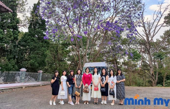 Bảng giá thuê xe Nha Trang đi Sài Gòn KHÔNG PHỤ PHÍ 2024