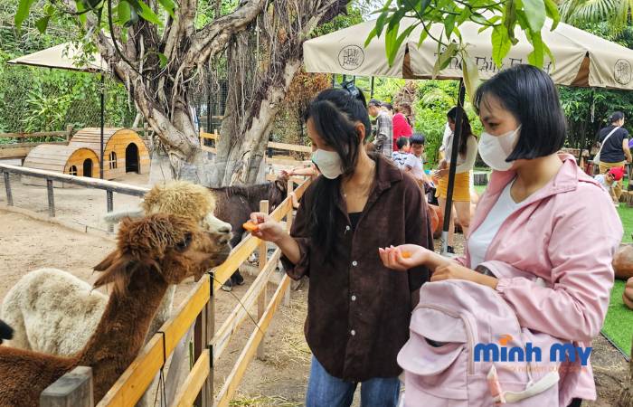 The Fairy Forest Nha Trang - Khu rừng cổ tích đẹp như mơ