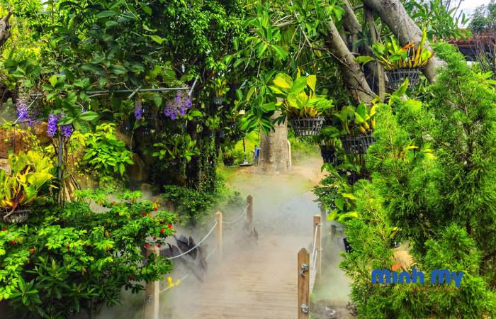 The Fairy Forest Nha Trang - Khu rừng cổ tích đẹp như mơ