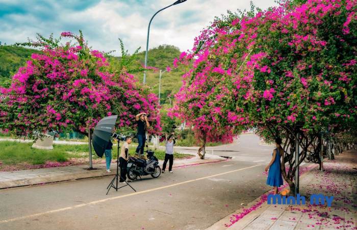 Làng bích hoạ Nha Trang - Điểm check in cho các nàng thơ