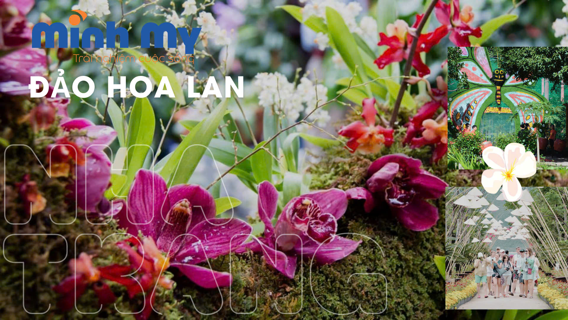 Review đảo Hoa Lan Nha Trang - Điểm nghỉ dưỡng vạn người mê