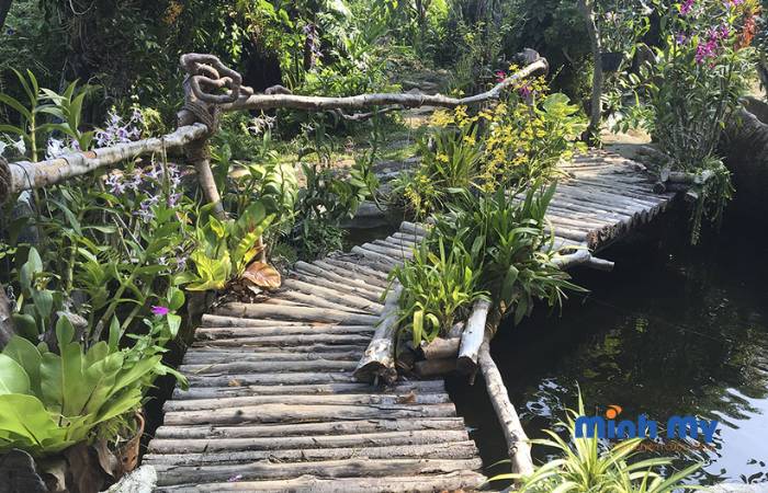 Review đảo Hoa Lan Nha Trang - Điểm nghỉ dưỡng vạn người mê