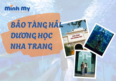 Đến bảo tàng Hải Dương học Nha Trang khám phá đại dương thu nhỏ