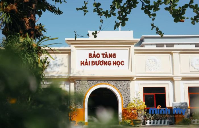 Đến bảo tàng Hải Dương học Nha Trang khám phá đại dương thu nhỏ