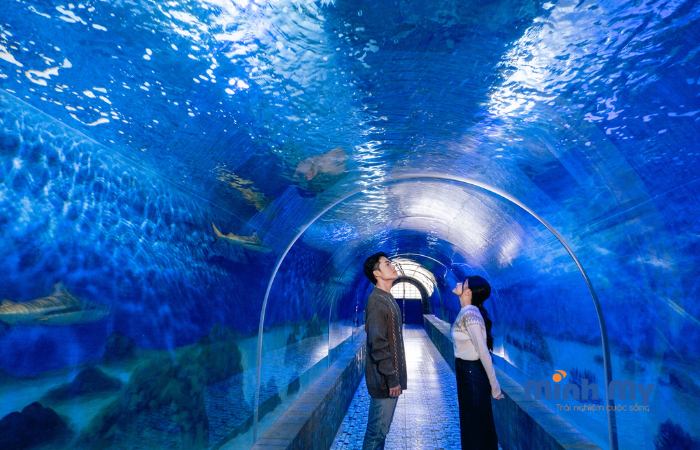 Đến bảo tàng Hải Dương học Nha Trang khám phá đại dương thu nhỏ