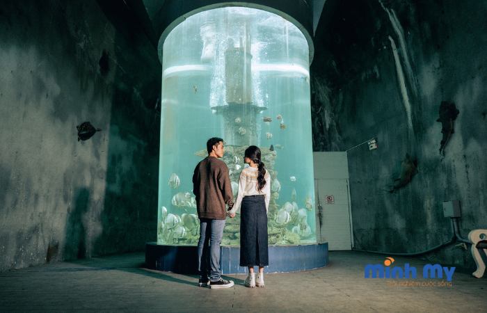 Đến bảo tàng Hải Dương học Nha Trang khám phá đại dương thu nhỏ