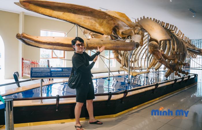 Đến bảo tàng Hải Dương học Nha Trang khám phá đại dương thu nhỏ