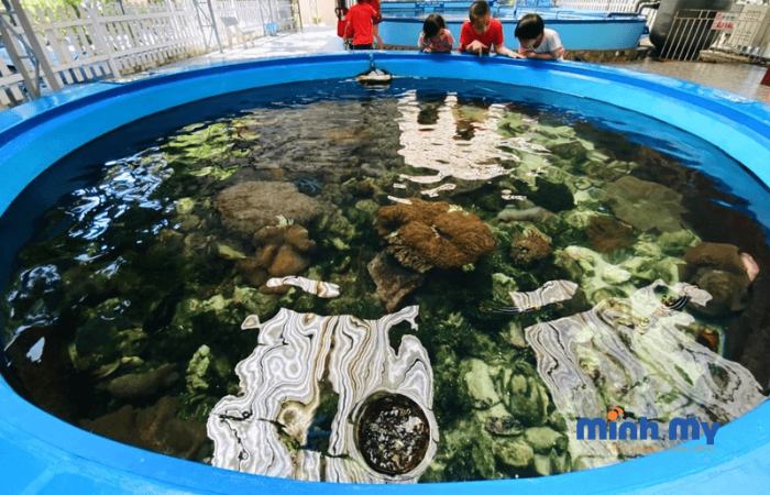 Đến bảo tàng Hải Dương học Nha Trang khám phá đại dương thu nhỏ