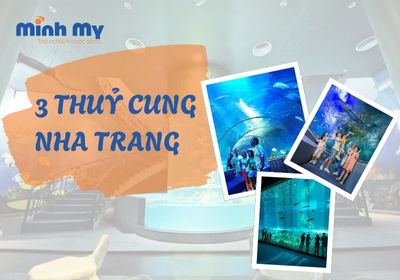 TOP 3 thuỷ cung Nha Trang cho bạn khám phá đại dương thu nhỏ