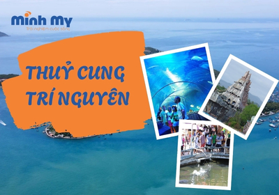 Khám phá Thuỷ cung Trí Nguyên thu nhỏ giữa thành phố biển