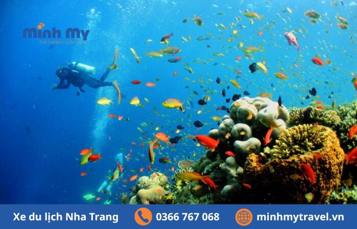 Review Hòn Mun Nha Trang - Tha hồ lặn ngắm cá và san hô
