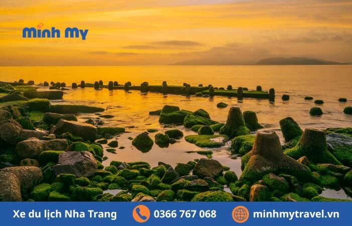 Bãi rêu Nha Trang view check-in đẹp hút hồn du khách