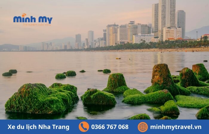 Bãi rêu Nha Trang view check-in đẹp hút hồn du khách