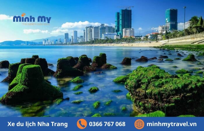 Bãi rêu Nha Trang view check-in đẹp hút hồn du khách