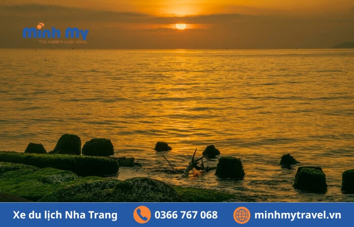 Bãi rêu Nha Trang view check-in đẹp hút hồn du khách