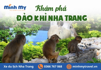 Đến Đảo Khỉ Nha Trang khám phá "vương quốc" loài khỉ