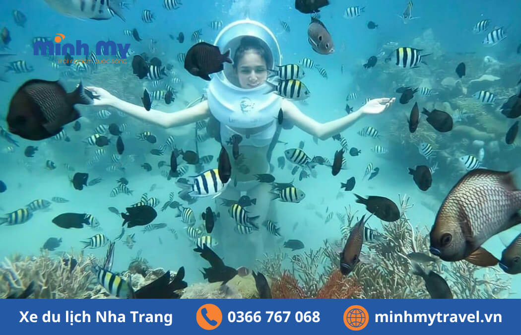 Bãi Tranh Nha Trang có gì chơi? Giá vé, Cách đi, Review mới nhất