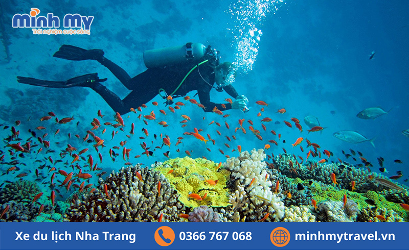 Thời điểm tham gia Lặn biển Labixa