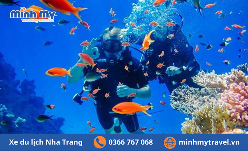 Lặn biển Nha Trang