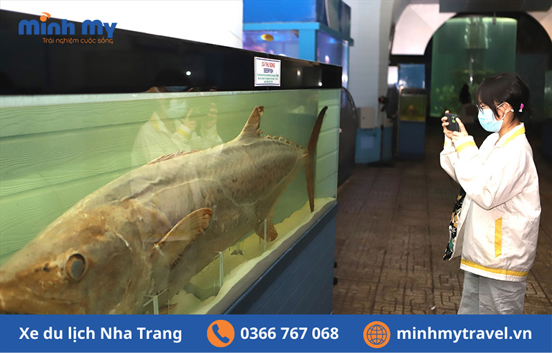 Viện hải dương học Nha Trang